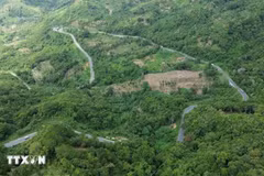 Indonesia promotes carbon market to support emissions cuts