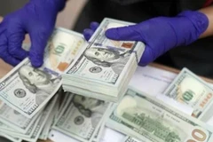 The daily reference exchange rate for the US dollar is set at 24,982 VND/USD on June 11. (Photo: VNA)