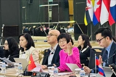 Permanent Representative of Vietnam to ASEAN Ambassador Ton Thi Ngoc Huong (second from right) chairs the meeting (Photo: VNA)