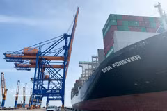 Loading and unloading import-export cargo at Gemalink International Port. (Photo: VNA)