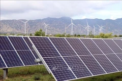 Illustrative image (Photo: VNA)