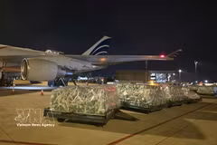 The shipments are unloaded at the airport. (Photo: VNA broadcasts)