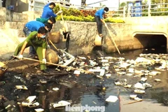 Illustrative image (Photo: tienphong.vn)