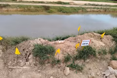  Authorities erect warning signs and coordinate with the construction site's security force to cordon off and secure the area, preventing people and vehicles from approaching the dangerous zone (Photo published by VNA)