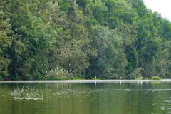 The Dong Thap Muoi Ecological Reserve spans more than 106 hectares and is set to be expanded by an additional 60 hectares in the near future. (Photo: VNA) 