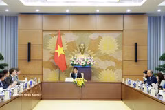 Vice Chairman of the National Assembly (NA) Nguyen Hong Dien receives a delegation from the European Chamber of Commerce in Vietnam (EuroCham) in Hanoi on May 22. (Photo: VNA)