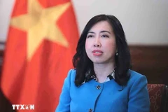Deputy Minister of Foreign Affairs Le Thi Thu Hang (Photo: VNA)