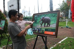 Residents of Dong Nai province visit the exhibition on Vietnam's elephants. (Photo: VNA)