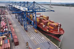 Loading and unloading export goods at Hai Phong international container terminal in Hai Phong city (Photo: VNA)