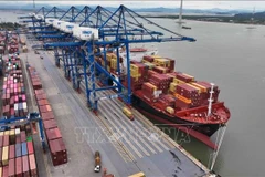 Loading and unloading export goods at Hai Phong international container terminal (Photo: VNA)