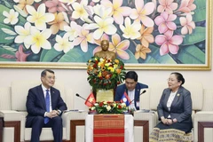 Politburo member, Secretary of the Communist Party of Vietnam (CPV) Central Committee and Chairman of the CPV Central Committee’s Organisation Commission Le Minh Hung (L) holds talks with Sisay Leudetmounsone, Politburo member, Secretary of the Lao People's Revolutionary Party (LPRP) Central Committee and Chairwoman of the LPRP Central Committee's Organisation Commission, in Vientiane on December 2 (Photo: VNA)