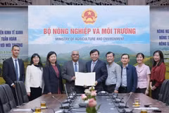 The Ministry of Agriculture and Environment receives the Asian Development Bank's formal confirmation of an emergency international assistance package worth 2 million USD to help address the severe impacts of recent flooding in central Vietnam. (Photo: nongnghiepmoitruong.vn)