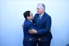 Vietnamese Prime Minister Pham Minh Chinh (L) meets with First Secretary of the Communist Party of Cuba Central Committee and President of Cuba Miguel Díaz Canel in Rio de Janeiro, Brazil, on July 6 (local time) on the sidelines of the expanded BRICS summit. (Photo: VNA)