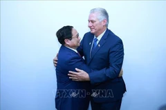 Vietnamese Prime Minister Pham Minh Chinh (L) meets with First Secretary of the Communist Party of Cuba Central Committee and President of Cuba Miguel Díaz Canel in Rio de Janeiro, Brazil, on July 6 (local time) on the sidelines of the expanded BRICS summit. (Photo: VNA)