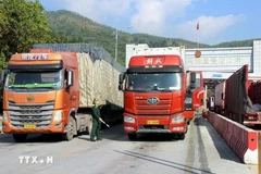 Goods transported via Chi Ma border gate in northern Lang Son province. (Photo: VNA)
