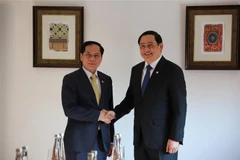 Deputy Prime Minister and Minister of Foreign Affairs Bui Thanh Son (L) and Lao PM Sonexay Siphandone. (Photo: VNA)