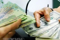 The daily reference exchange rate is set at 25,122 VND/USD on January 6. (Photo: VNA)