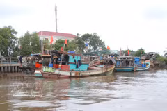 Boats are anchored at the Ganh Hao estuary in Ganh Hao commune, Ca Mau province. (Photo: VNA)