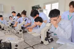 Students practice examining and counting blood cells for clinical diagnosis of animal diseases using optical microscopes. (Photo: VNA)