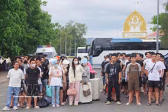 A total of 109 Vietnamese citizens working in Cambodia are deported by the General Department of Immigration under Cambodia’s Ministry of Interior for violating the country’s regulations on immigration, labour and residency. (Photo: VNA) 