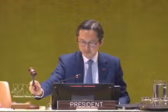 Vietnamese Ambassador Do Hung Viet delivers a closing speech (Photo: VNA)