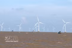 The offshore wind turbine system of Tien Giang Wind Power Energy JSC. (Photo: VNA)