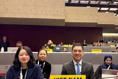 The Vietnamese delegation at COP11 (Photo: PV/Vietnam+)