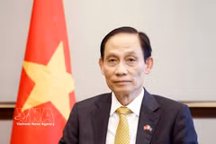 Minister of Foreign Affairs Le Hoai Trung (Photo: VNA)