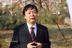 Prof. Mi Liang, Director of the Centre for Southeast Asian Studies at the Beijing Foreign Studies University of China. (Photo: VNA)
