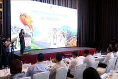 The Department of Culture, Sports and Tourism of Da Nang on August 15 launches a tourism stimulus programme to boost travel to the central coastal hub. (Photo: VNA)