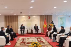 An overview of the working session between Vice Chairman of Binh Duong People’s Committee Bui Minh Thanh and Masashi Suzuki, a member of the Ibaraki Prefectural Assembly and a delegation of Japanese businesses (Photo: VNA)