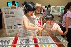 Visitors flock to see rare insect specimens at the Da dang sac mau con trung Vietnam (The Diversity of Vietnamese Insects) exhibition at the Da Nang Museum. (Photo: nld.vn)