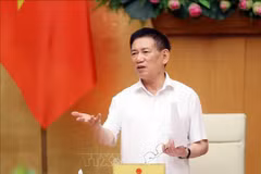 Deputy Prime Minister Ho Duc Phoc speaks at the meeting in Hanoi on October 14. (Photo: VNA)