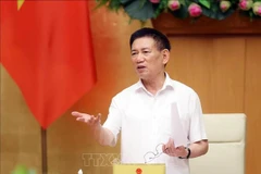 Deputy Prime Minister Ho Duc Phoc speaks at the meeting in Hanoi on October 14. (Photo: VNA)