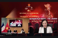 A view of the Vietnam-France online press briefing. (Photo: VietnamPlus)