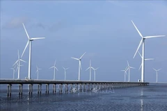 Wind turbines constructed off the coast of Ca Mau. (Photo: VNA)