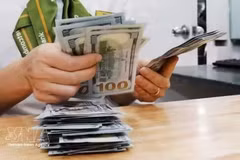 With the current trading band of +/- 5%, the ceiling rate applicable for commercial banks during the day is 26,792 VND/USD, and the floor rate 24,240 VND/USD. (Photo: VNA)