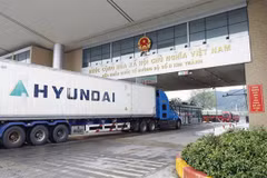Trucks carrying fresh lychees for export clearing customs at Kim Thanh Road International Border Gate II. (Photo: baobacninhtv.vn)