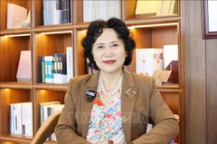 Tao Yitao, senior professor at Shenzhen University, former Deputy Secretary of the university’s Party Committee, and Director of the China Centre for Special Economic Zone Research. (Photo: VNA)