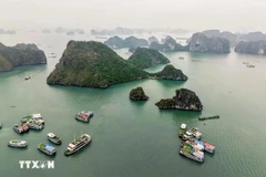 The natural scenery of Ha Long Bay attracts many tourists to visit and explore. (Photo: VNA)