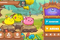 An image of a Vietnamese game. CIS region has potential for gaming developers from Viet Nam. (Photo: Courtesy of cellphones.com.vn_
