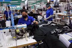 Workers sew garments for export to the European market at the factory of SangWoo Vietnam Co., Ltd. in VSIP Nghe An Industrial Park (Photo: VNA)