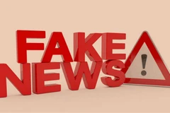 Illustrative image (Photo: VNA)