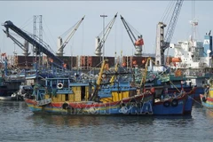 Vessels at Quy Nhon fishing port (Photo: VNA)