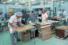 SMEs are the backbone of the Malaysian economy. (Photo: thestar.com.my)