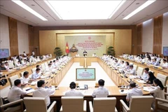 At the conference (Photo: VNA)
