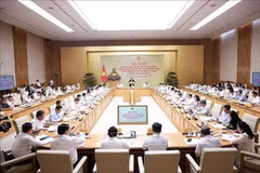 At the conference (Photo: VNA)