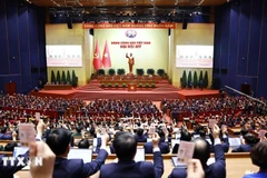 Delegates vote to adopt the resolution of the 14th National Congress of the Communist Party of Vietnam. (Photo: VNA)