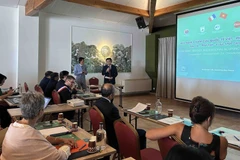 An overview of the second Vietnam-France International Acupuncture Conference (Photo: VNA)