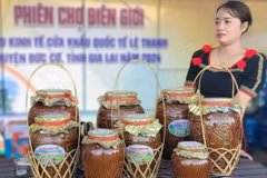 Vietnam and Cambodia are seeking to strengthen supply chain connectivity and promote sustainable border trade at a trade promotion conference in Vietnam's Mekong Delta province of Dong Thap on May 15. (Photo: https://thoibaonganhang.vn/)